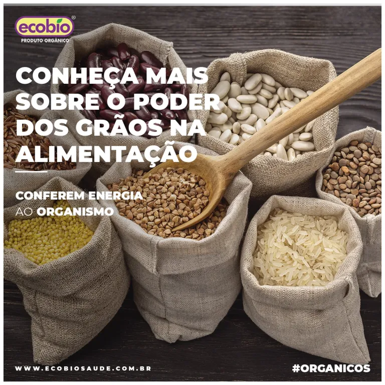 Conheça mais sobre o poder dos grãos na alimentação